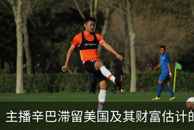 主播辛巴滞留美国及其财富估计的讨论分析