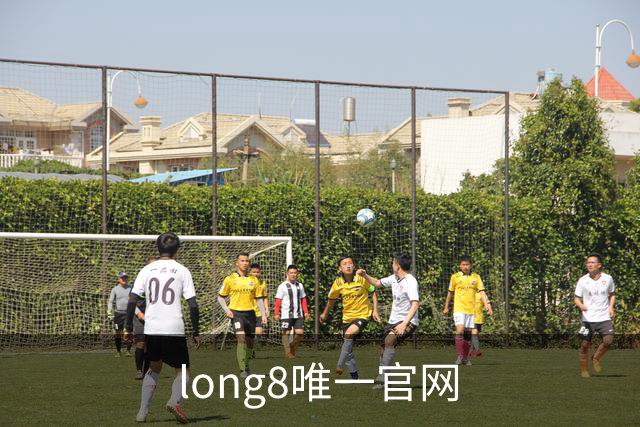 long8唯一官网公司简介